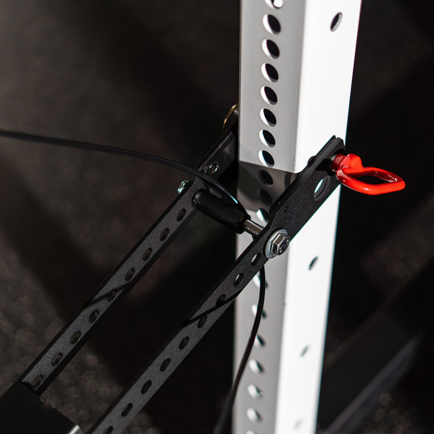 Revolt Belt Squat Rack Attachment