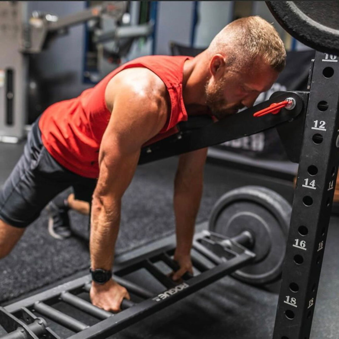 Revolt Chest Support Revolt Fitness